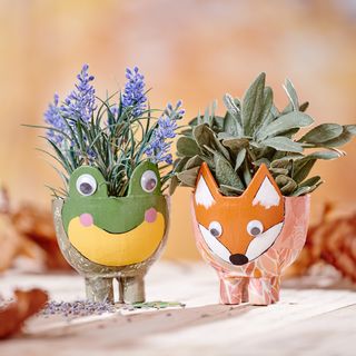 topf fuchs frosch