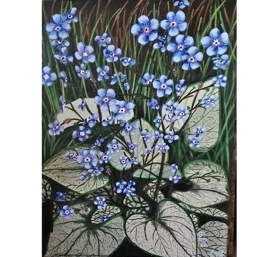 154_maryca_myosotis du caucase